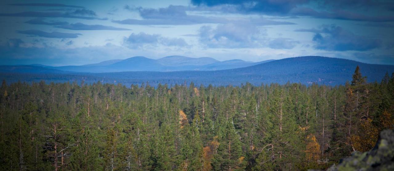 Lapland Pallas Hotel