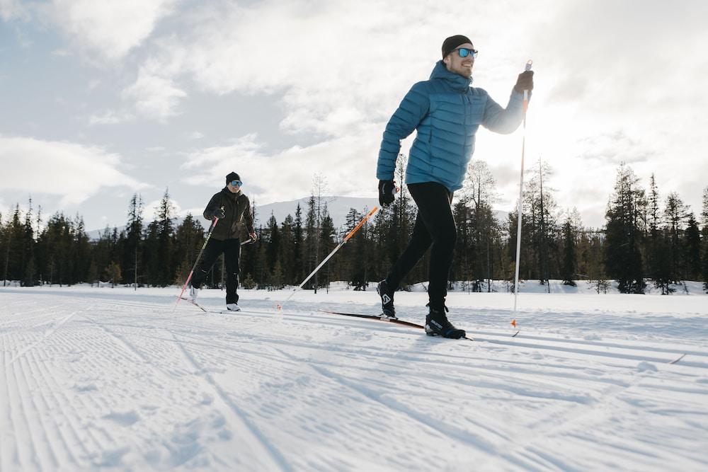 Lapland Pallas