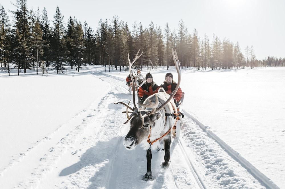 Lapland Pallas Hotel 2*