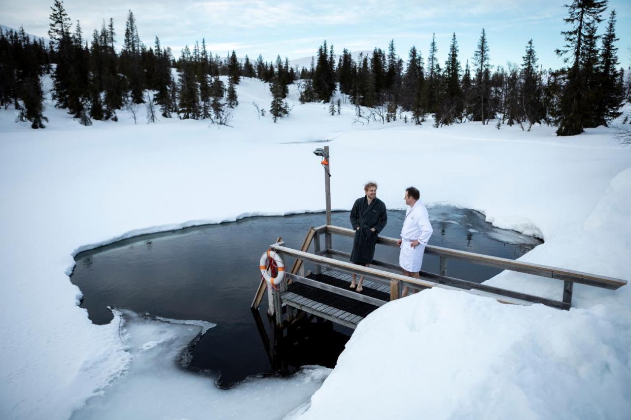 Отель Lapland Pallas Палластунтури