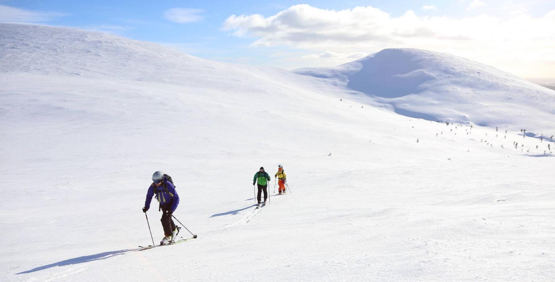 Отель Lapland Pallas 2*