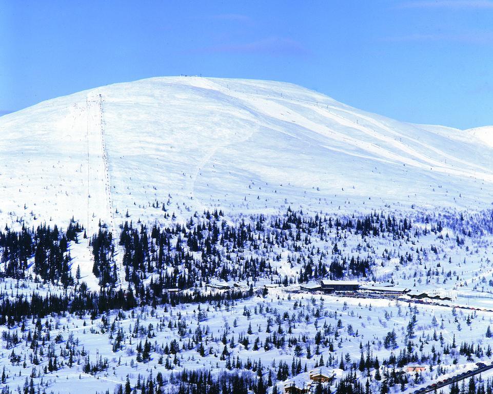 Lapland Pallas