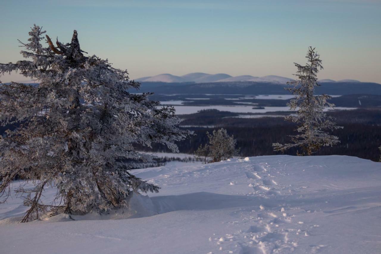 Lapland Pallas Berggipfel Pallastunturi
