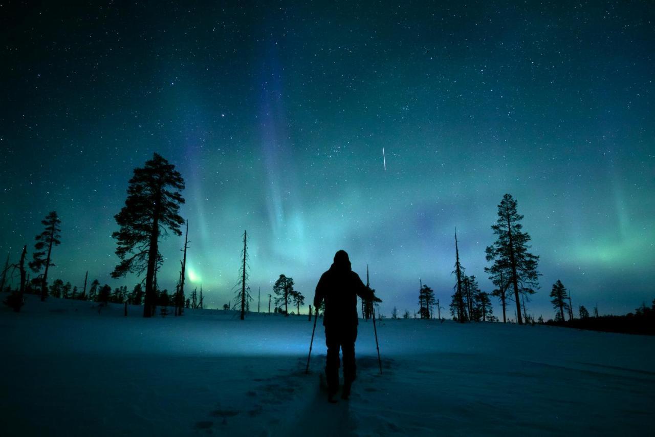Отель Lapland Pallas